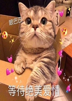 �۰Ͱ͵ȴ�������������