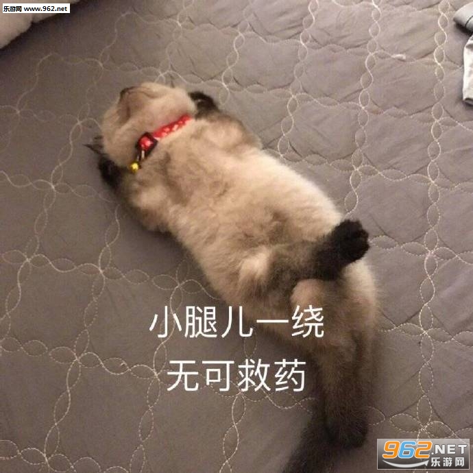 �ϵܴ����������������ͼ0