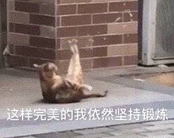 �ϵܴ����������������ͼ6