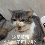 ����΢Ц��˯ͼƬ�������ͼ4