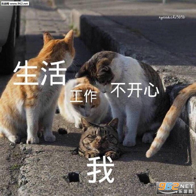 ��̫�����һƬ�հױ������ͼ3