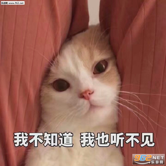 �����̹�״ӿ��������ͼ6