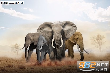 Giant Elephant Simulator(����ģ������׿��)��ͼ1