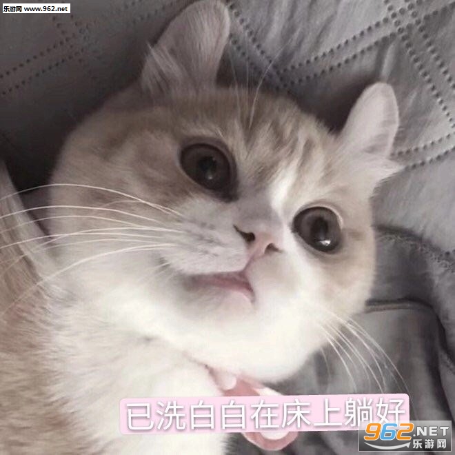�Ѹ�ŶͼƬ�������ͼ2