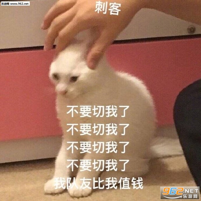�����𾪱������ͼ13