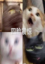 �����𾪱����