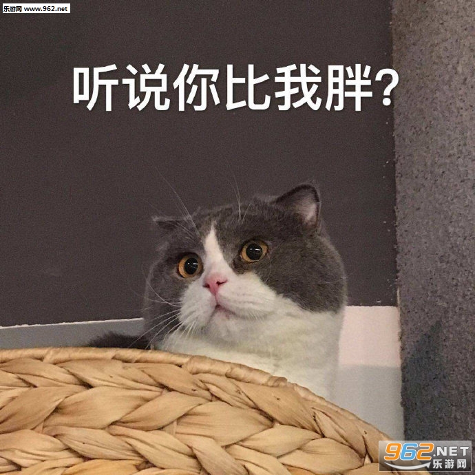��Ϊ�˲��������ұ������ͼ1