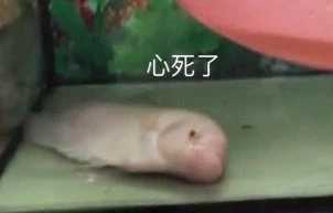 ��Ϊ�˲��������ұ������ͼ5