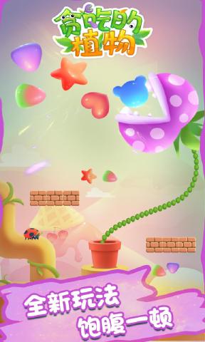 ̰�Ե�ֲ�ﰲ׿���ͼ0