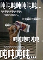 �ֶֶֺȶ��������