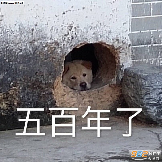 ��Ǹ���費׼�ҳ�ȥ��������ͼ2