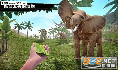 ������֮�ð�׿���ͼ2