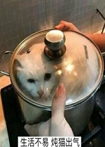 �������è���������