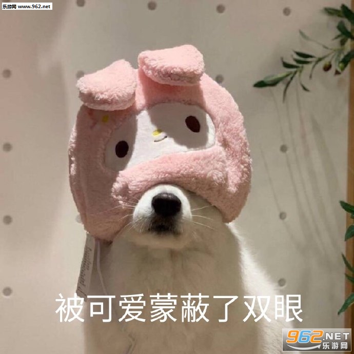΢��Ǯ��0���0ͼƬ�������ͼ0
