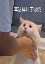 ������������Ŷ�����
