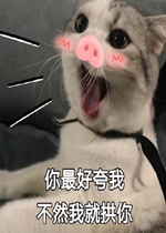 ����ÿ��Ҳ�Ȼ�Ҿ͹�������
