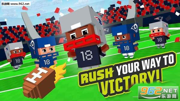NFL��������˰�׿���ͼ1