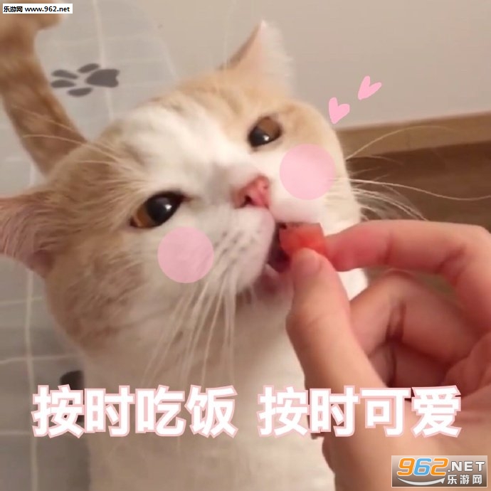 �Ҷ������˱������ͼ5