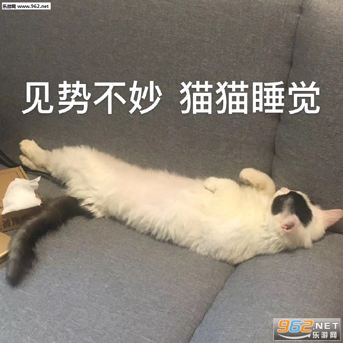 �ҿ���������ұȻ��Ȼ�ͼƬ�����
