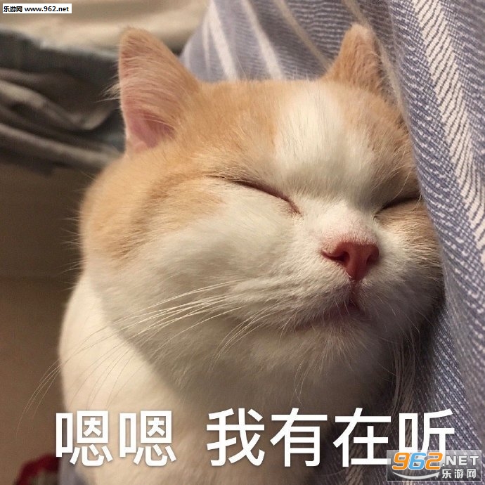 ���ɧ����ʵ�����