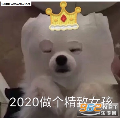 我的钱肚子表情包 我的钱肚子表情包