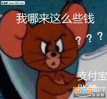 ����֧�����˵���֪���Լ���ô��Ǯ�����