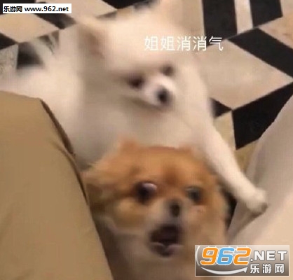 ������ֱ���ɻ�����