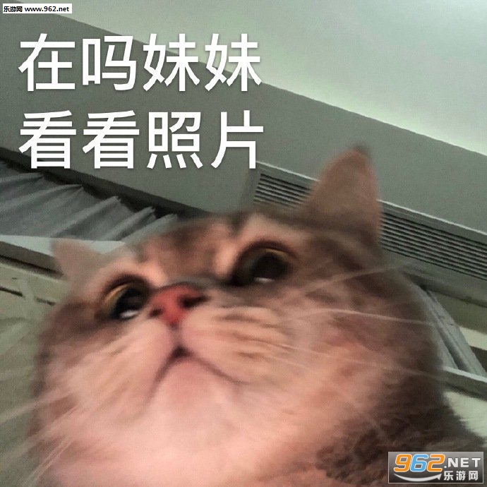 �������ÿ�����������
