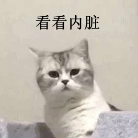 �������ÿ�����������
