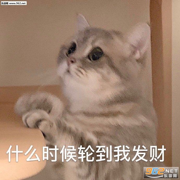 �������ÿ�����������