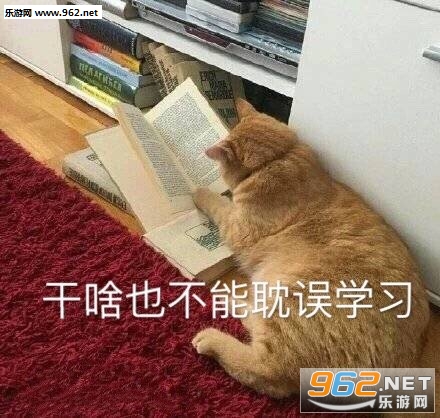 ������Ϸ�����