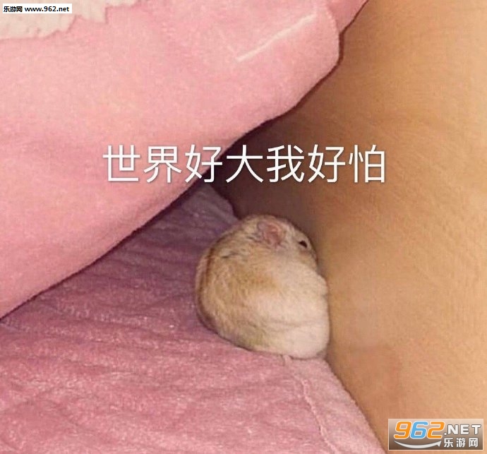 �������������˼������ֱ�Ӻ��߱����
