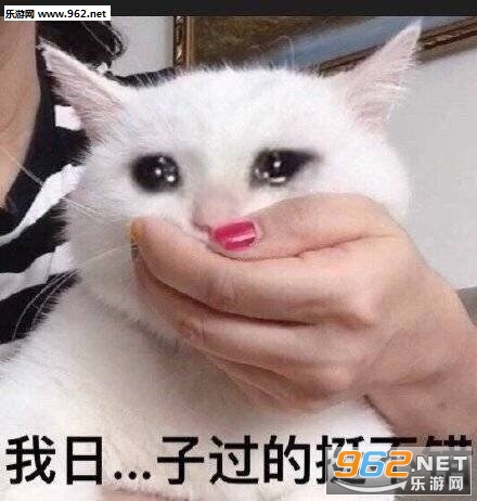 连个么么哒都没有的表情包 连个么么哒都没有的表情包
