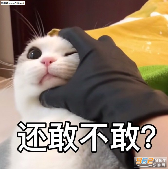 ����һ������ȭ�����