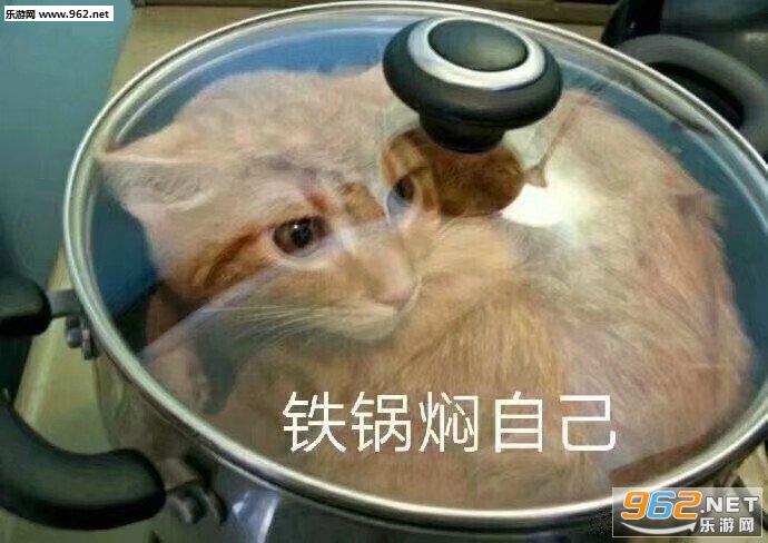 ��ǿлл�����