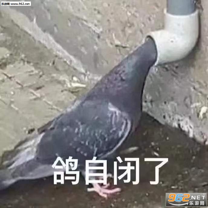 ���ߺ��Ҵ���Ϸ�����