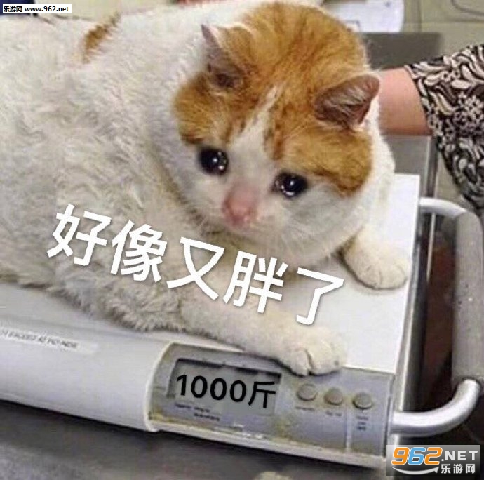 ������ʱ�����۾��������������