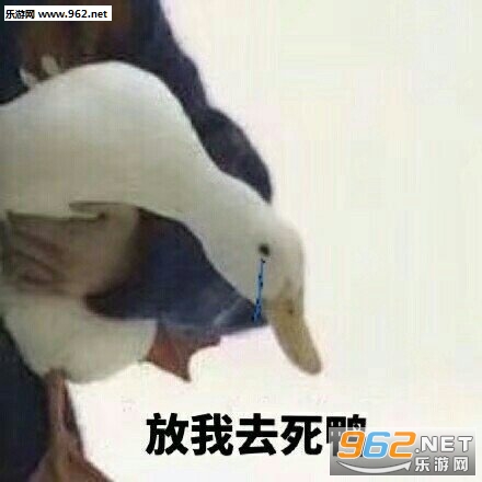 һ�����ŵı����