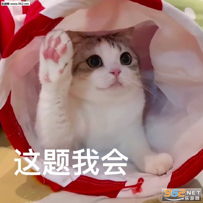 ������ֱ�Ӿ�������
