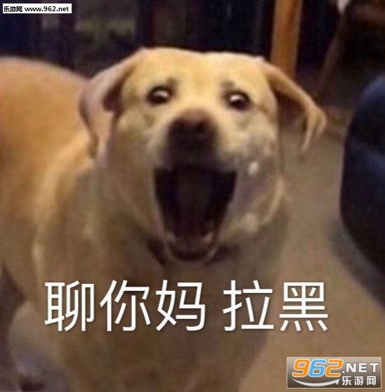 ������鲻��������