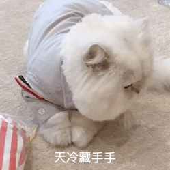 û����Ϣ������æũ������