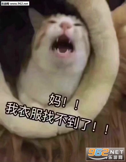 �ڼ����º���èè�����