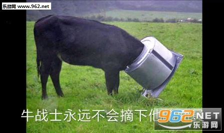 ������߱������Ц
