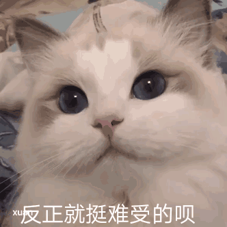 ���������˶�̬�������ͼ