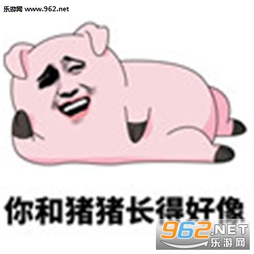 猪猪公寓表情包 猪猪公寓表情包