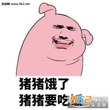 猪猪公寓表情包 猪猪公寓表情包
