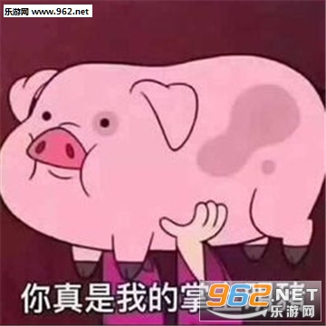 猪猪公寓表情包 猪猪公寓表情包