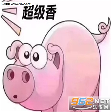 猪猪公寓表情包 猪猪公寓表情包
