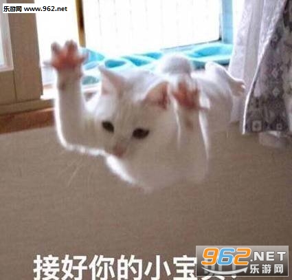 你是不是想我才来看我的可爱表情包 你是不是想我才来看我的可爱表情包