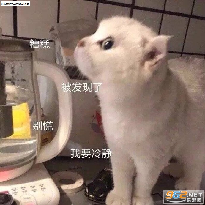 你是不是想我才来看我的可爱表情包 你是不是想我才来看我的可爱表情包
